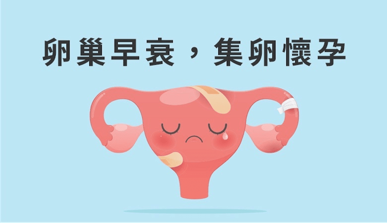卵巢早衰,累積胚胎順利懷孕
